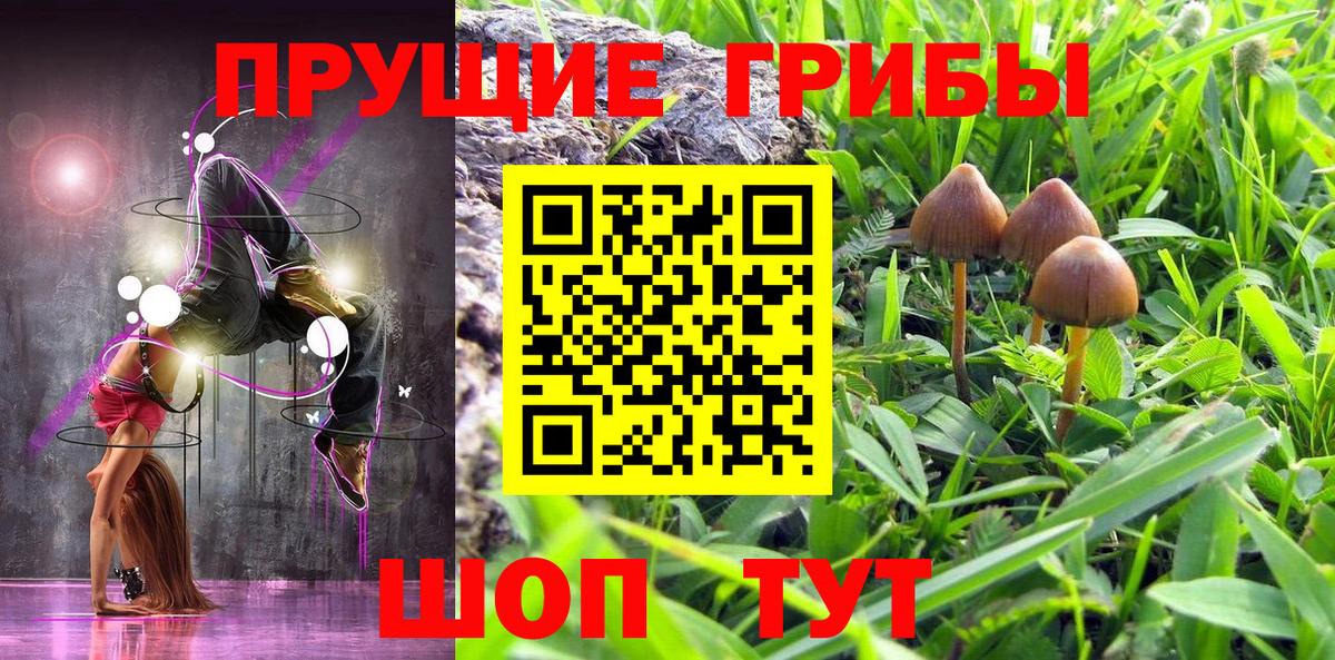 Галлюциногенные грибы мицелий Сорочинск