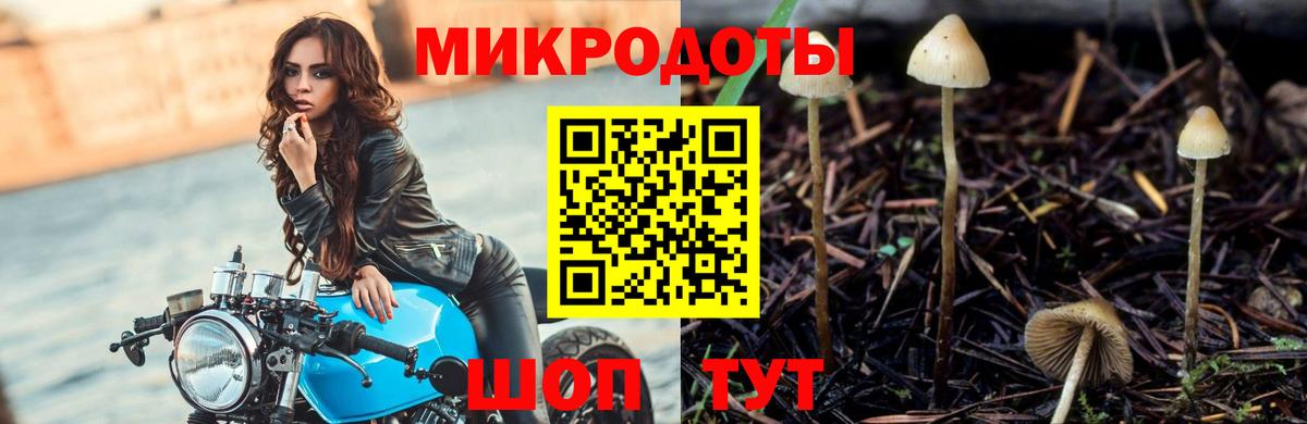 Сорочинск  Галлюциногенные грибы Psilocybine cubensis  цены наркотик  Вход с VPN 